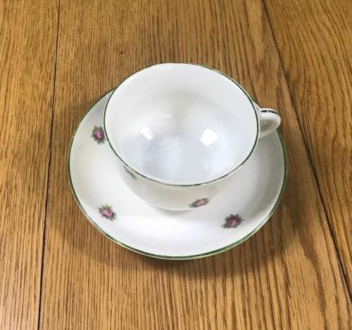 DUO TEA CUP + SAUCER FLORAL FLOWERS ROSES NO MARKS.