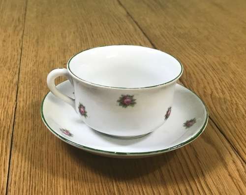 DUO TEA CUP + SAUCER FLORAL FLOWERS ROSES NO MARKS.
