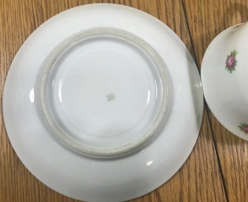 DUO TEA CUP + SAUCER FLORAL FLOWERS ROSES NO MARKS.