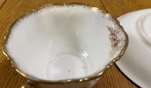 DAVID CHAPMAN and SONS=LONGTON=ENGLAND=DUO=TEA CUPand SAUCER=FOXGLOVE FLOWERS!!=Read notes please...