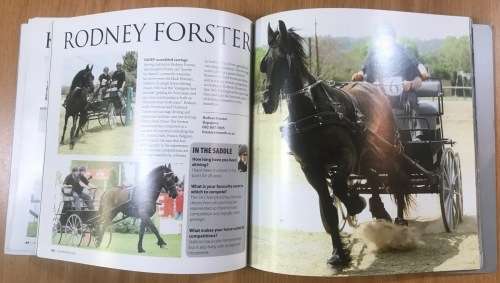 HORSES!! CHAMPIONS 2008 A COLLECTION of SOUTH AFRICA`S FINEST EQUESTRIANS SHOWJUMPING DRESSAGE VAULT