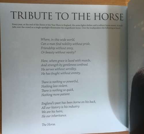 HORSES!! CHAMPIONS 2008 A COLLECTION of SOUTH AFRICA`S FINEST EQUESTRIANS SHOWJUMPING DRESSAGE VAULT