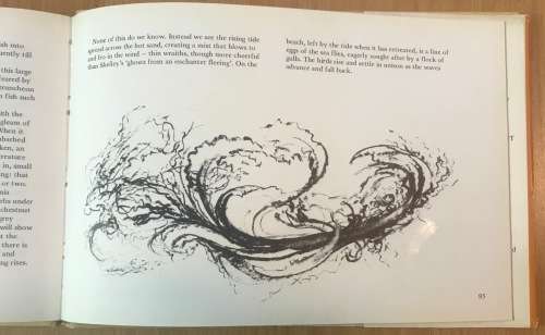 KELP COAST NORAH G. HENSHILWOOD CECIL HIGGS 1976 1st EDITION No. 425 of 1000 LIMITED COPIES DRAWINGS