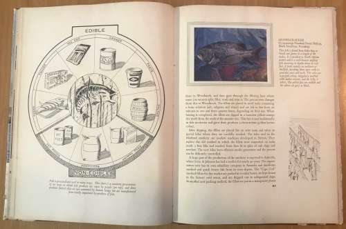 SOUTH AFRICAN FISH AND FISHING ILLUSTRATED STORY of the INDUSTRY with CARDS 1963 IRVIN & JOHNSON