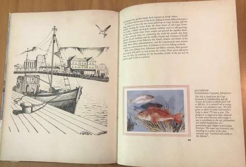 SOUTH AFRICAN FISH AND FISHING ILLUSTRATED STORY of the INDUSTRY with CARDS 1963 IRVIN & JOHNSON
