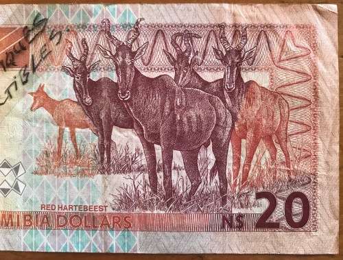 BANK OF NAMIBIA TWENTY NAMIBIAN DOLLARS N$20 INTERNATIONAL AFRICAN BANKNOTE A34907968 RED HARTEBEEST