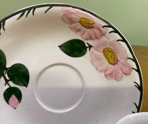 VILLEROY and BOCH=GERMANY=TEA CUP + SAUCER=WILD ROSE pattern=BEAUTIFUL!!!!=please read notes........