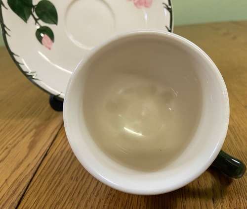VILLEROY and BOCH=GERMANY=TEA CUP + SAUCER=WILD ROSE pattern=BEAUTIFUL!!!!=please read notes........