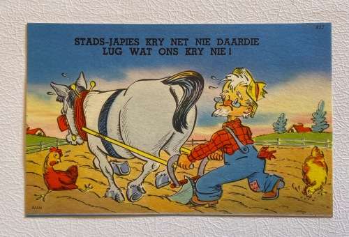 POSTCARD POST CARD TICHNOR QUALITY VIEWS USA AFRIKAANS HUMOROUS HORSE PLOUGHING CHICKENS FARM 1965.