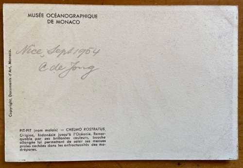 POSTCARD MONACO OCEANOGRAPHIC MUSEUM MARINE REEF FISH CHELMON ROSTRATUS COPPERBAND BUTTERFLY FISH.