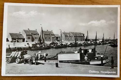 POSTCARDS x 3 BLACK and WHITE REAL PHOTO CARDS NETHERLANDS HARBOURS PORT VIEWS BOATS BARGES HORSES.