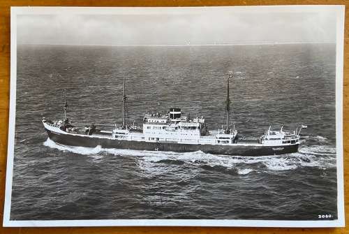 POSTCARD POST CARD ROYAL NETHERLANDS STEAMSHIP Co. m.s. WILLEMSTAD ORANJESTAD SHIP SAILING SHIPPING