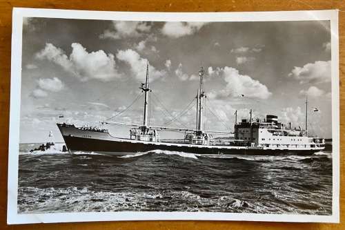 POSTCARD POST CARD ROYAL NETHERLANDS STEAMSHIP Co. m.s.JASON AMMON KREON MARON SHIP SAILING SHIPPING