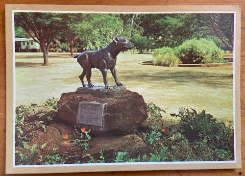 POSTCARD SOUTH AFRICA JOCK OF THE BUSHVELD STATUE BARBERTON DOG STAFFORDSHIRE TERRIER.