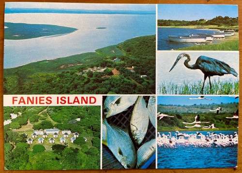 POSTCARD RSA NATAL ST. LUCIA FANIES ISLAND LACIA LAKE COUNTRYSIDE RHINO PARKS BOARD BIRDS BOATS FISH