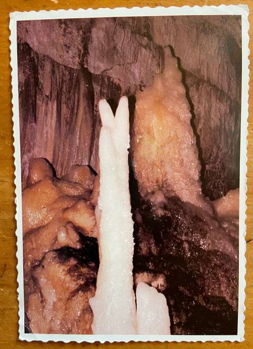 SOUTH AFRICA OLD POST OFFICE TREE SPECIAL DATE STAMP MOSSEL BAY 1987 POSTCARD CANGO CAVES OUDTSHOORN
