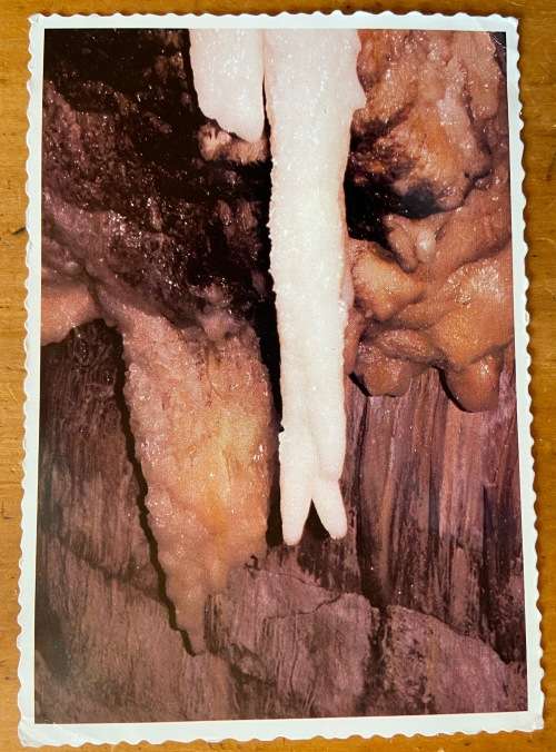 SOUTH AFRICA OLD POST OFFICE TREE SPECIAL DATE STAMP MOSSEL BAY 1987 POSTCARD CANGO CAVES OUDTSHOORN