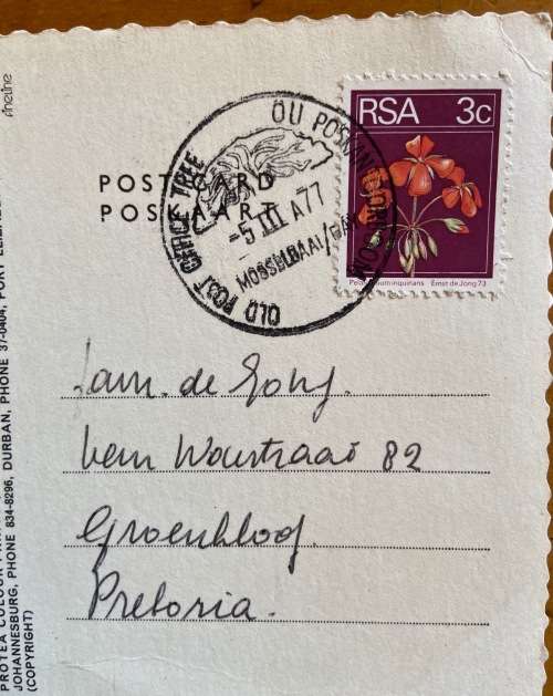 SOUTH AFRICA OLD POST OFFICE TREE SPECIAL DATE STAMP MOSSEL BAY 1987 POSTCARD CANGO CAVES OUDTSHOORN