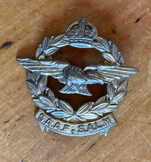SOUTH AFRICAN AIR FORCE BADGE SUID AFRIKAANSE LUGMAG SAAF SALM BRASS 45mm x 45mm PIN INTACT.