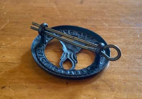 SOUTH AFRICAN INFANTRY SAI SADF BADGE x 1 `UNION IS STRENGTH` `EENDRAG MAAK MAG` SPRINGBOK LUGS PIN.
