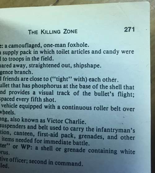 THE KILLING ZONE FREDERICK DOWNS VIETNAM PLATOON DELTA ONE-SIX THE WAY IT REALLY WAS INFANTRY.