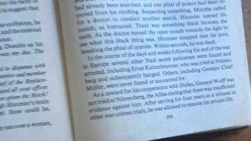 THE DAY BEFORE SUNRISE THOMAS WISEMAN SUPERLATIVE WAR NOVEL WW2 WWII HITLER GERMANY NAZI REICH.