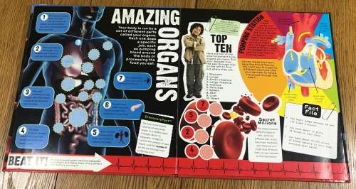 Human Body Discovery Channel 2010 Paragon Books
