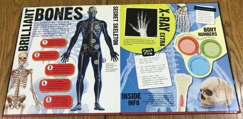 Human Body Discovery Channel 2010 Paragon Books