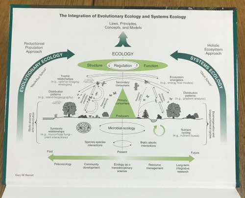 FUNDAMENTALS OF ECOLOGY EUGENE ODUM GARY BARRETT 2005 THOMSON BROOKS/COLE ECOLOGICAL SCIENCE CLASSIC