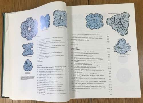 BIOCHEMISTRY 2nd EDITION MORAN SCRIMGEOUR HORTON OCHS RAWN 1994 SCIENCE NEIL PATTERSON PUBLISHERS.