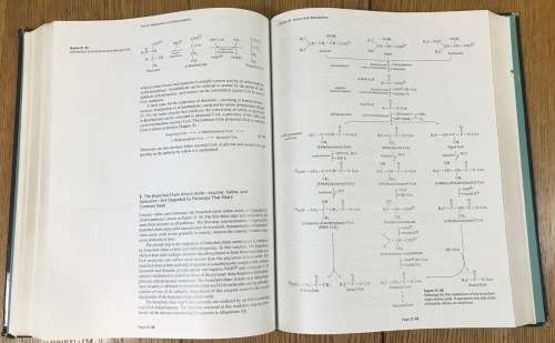 BIOCHEMISTRY 2nd EDITION MORAN SCRIMGEOUR HORTON OCHS RAWN 1994 SCIENCE NEIL PATTERSON PUBLISHERS.