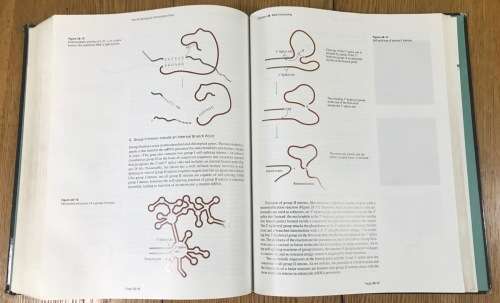 BIOCHEMISTRY 2nd EDITION MORAN SCRIMGEOUR HORTON OCHS RAWN 1994 SCIENCE NEIL PATTERSON PUBLISHERS.