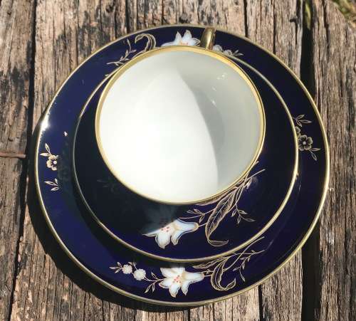 TEA TRIO`S x 6 JOHANN HAVILAND BAVARIA GERMANY COBALT and GILT LEAVES LILY WHITE FLOWERS MAGNIFICENT