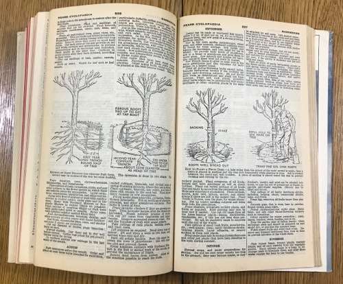 PEARS CYCLOPAEDIA 61st EDITION EDITOR MARY BARKER PEARS SOAP 1951-54 CALENDAR RARE with DUST JACKET!