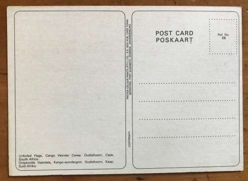 CANGO WONDER CAVES OUDSTHOORN CAPE UNFURLED FLAGS KANDO WONDERGROT ONTPLOOIDE VAANDELS POSTCARD