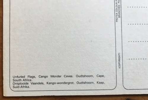 CANGO WONDER CAVES OUDSTHOORN CAPE UNFURLED FLAGS KANDO WONDERGROT ONTPLOOIDE VAANDELS POSTCARD