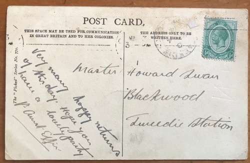 POSTCARD POST CARD POSKAART VERVET (NATAL) MONKEY B and W UNION of SA to TWEEDIE STATION