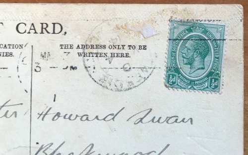 POSTCARD POST CARD POSKAART VERVET (NATAL) MONKEY B and W UNION of SA to TWEEDIE STATION