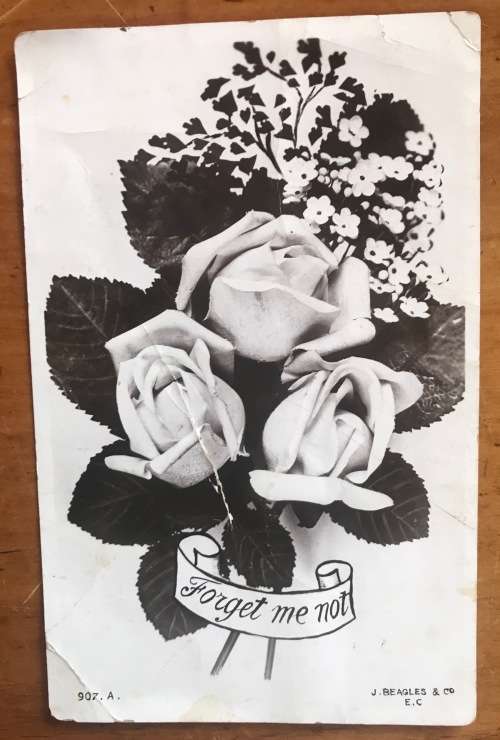 POSTCARD POST CARD POSKAART `FORGET ME NOT` UITENHAGE to MOUNT STEWART Roses and Flowers