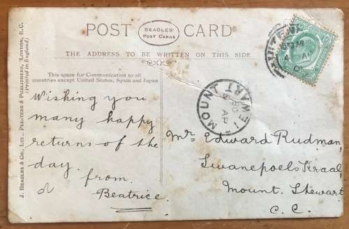 POSTCARD POST CARD POSKAART `FORGET ME NOT` UITENHAGE to MOUNT STEWART Roses and Flowers