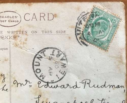 POSTCARD POST CARD POSKAART `FORGET ME NOT` UITENHAGE to MOUNT STEWART Roses and Flowers