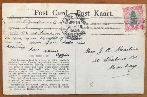 POSTCARD POST CARD POSKAART KING REED-HEN WATER BIRD CAPE TOWN 1934 SHIP