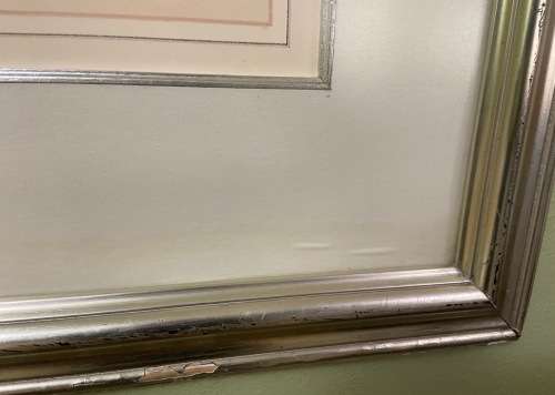 Vintage African Grey Parrot Print with Glass Covering - Psittacus Crythacus