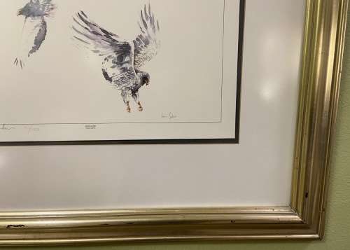 Limited Edition Print by South African Artist Pam Guhrs - Bateleur Eagles Aerial Acrobat