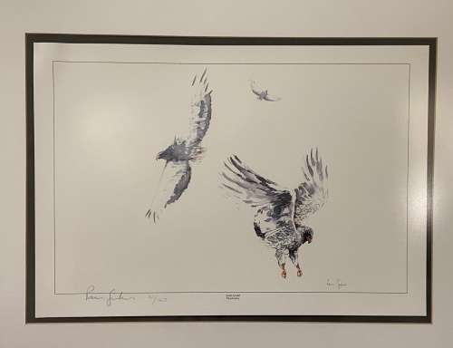 Limited Edition Print by South African Artist Pam Guhrs - Bateleur Eagles Aerial Acrobat