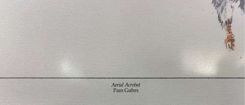 Limited Edition Print by South African Artist Pam Guhrs - Bateleur Eagles Aerial Acrobat