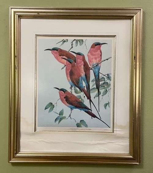 AWESOME CARMINE BEE-EATERS SIGNED LIMITED EDITION PRINT 47/250 Merops nubicoides DAVID?? Read notes!