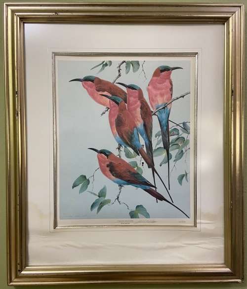 AWESOME CARMINE BEE-EATERS SIGNED LIMITED EDITION PRINT 47/250 Merops nubicoides DAVID?? Read notes!