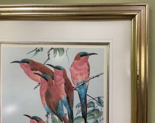 AWESOME CARMINE BEE-EATERS SIGNED LIMITED EDITION PRINT 47/250 Merops nubicoides DAVID?? Read notes!