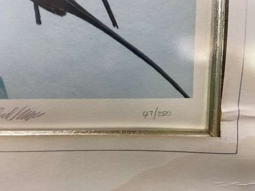 AWESOME CARMINE BEE-EATERS SIGNED LIMITED EDITION PRINT 47/250 Merops nubicoides DAVID?? Read notes!